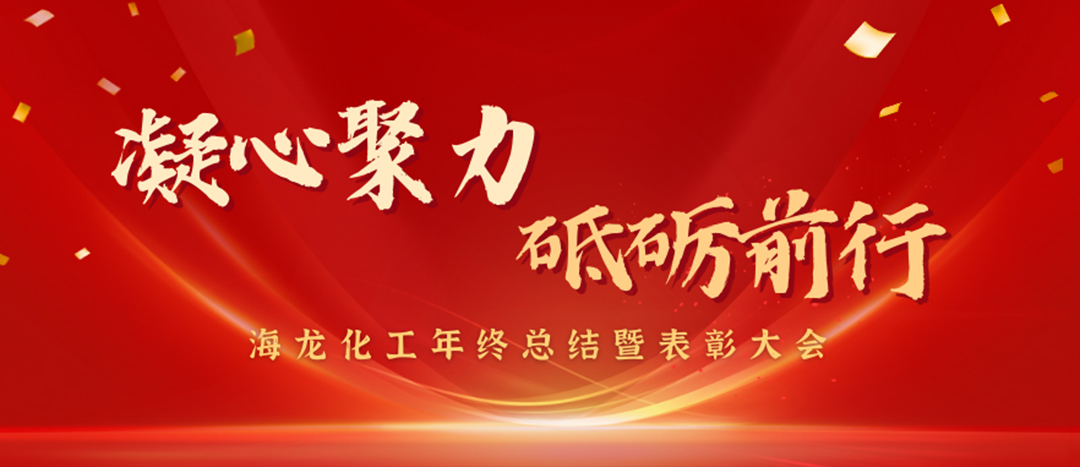 表彰 | 凝心聚力，砥礪前行，海龍化工年終總結(jié)暨表彰大會圓滿舉行